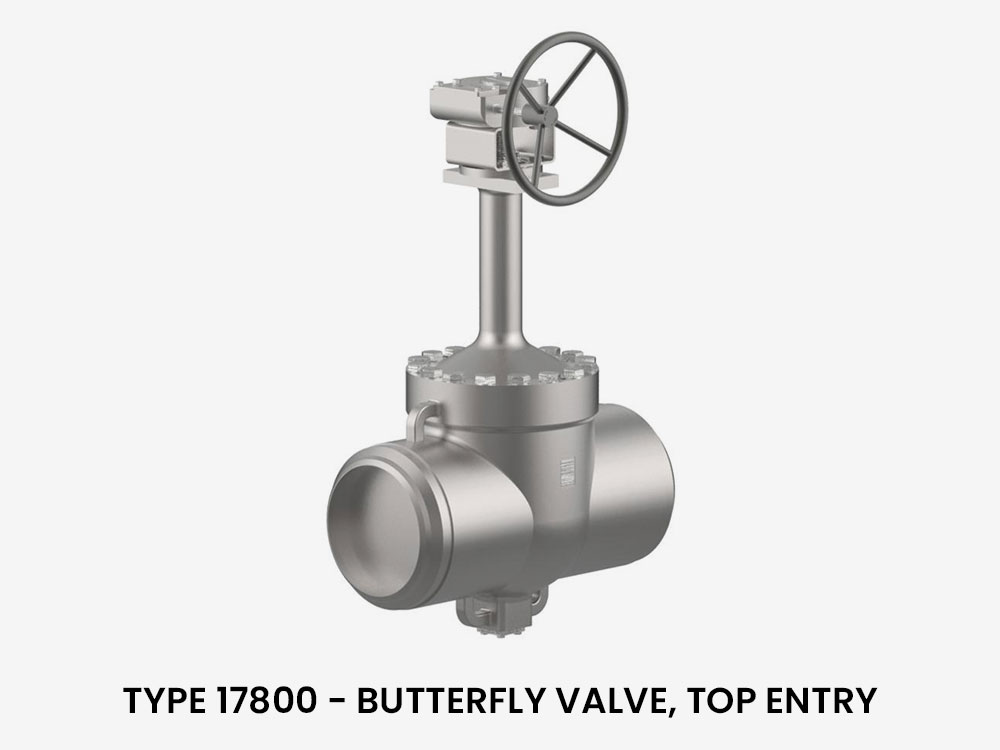 Type-17800-Butterfly-valve-top-entry